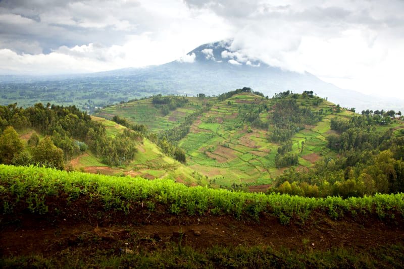 Руанда пейзаж