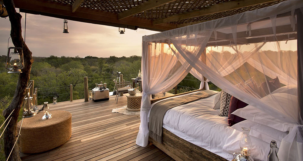Treehouse tour star bed